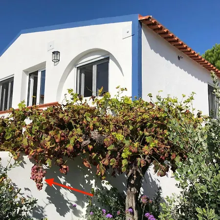 Апартаменты Casa Do Mar - Praia Das Macas - Studio Camelia Коларес